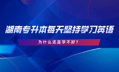 湖南专升本每天坚持学习英语，为什么还是学不好.png