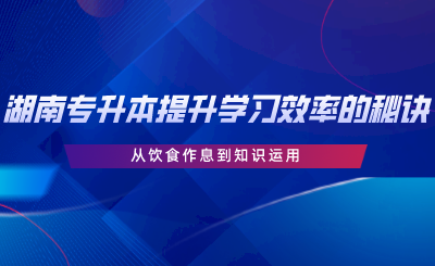 湖南专升本提升学习效率的秘诀：从饮食作息到知识运用.png