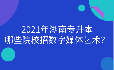 2021年湖南专升本哪些院校招数字媒体艺术？.png