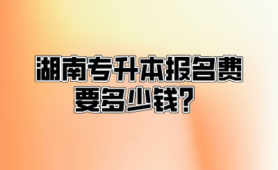 湖南专升本报名费要多少钱？.png