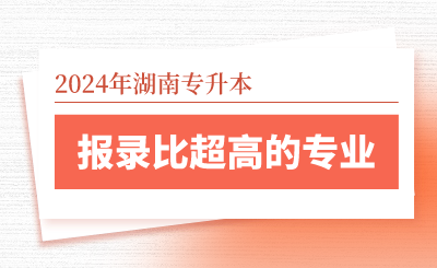 2024年湖南专升本报录比超高的专业