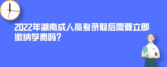 2022年湖南成人高考录取后需要立即缴纳学费吗？.jpeg