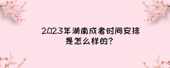 2023年湖南成考时间安排是怎么样的？.jpeg