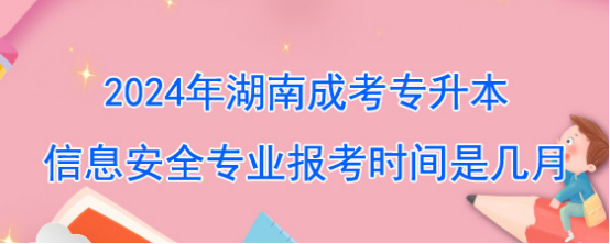 2024年湖南成考专升本信息安全专业报考时间是几月？(图1)